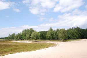 csm_boberger-duenen-3_269b51d04e